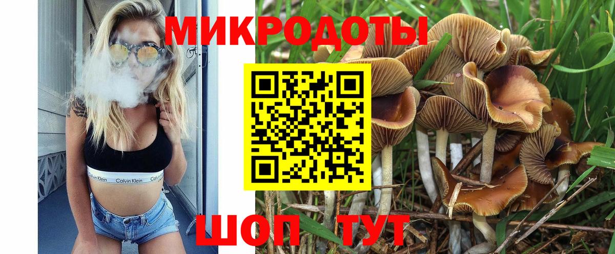Галлюциногенные грибы Psilocybine cubensis Куйбышев
